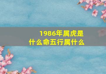 1986年属虎是什么命五行属什么,几月出生的马最有福气