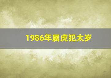 1986年属虎犯太岁,