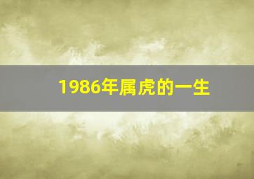 1986年属虎的一生,86年属虎人的命运怎么样86年生肖虎五行属什么