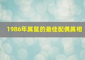 1986年属鼠的最佳配偶属相,