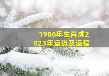 1986年生肖虎2023年运势及运程,1986年男虎2023年属虎的全年运势