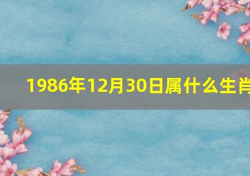 1986年12月30日属什么生肖,1986年12月30日出生是什么星座