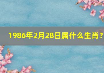 1986年2月28日属什么生肖？,86年2月28日出生的有财运吗