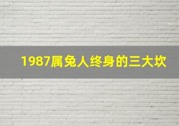 1987属兔人终身的三大坎,