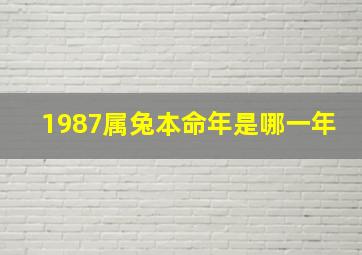 1987属兔本命年是哪一年