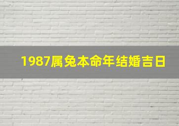 1987属兔本命年结婚吉日,1987属兔本命年结婚吉日是哪几天