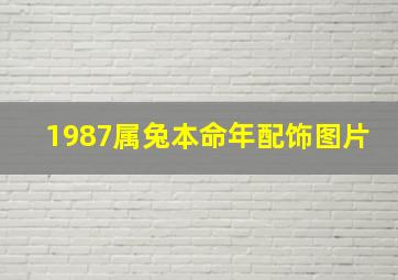 1987属兔本命年配饰图片,1975属兔本命年佩戴什么饰品