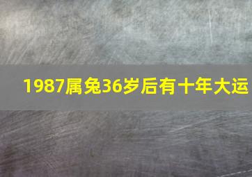 1987属兔36岁后有十年大运