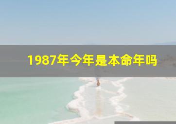 1987年今年是本命年吗,1987年今年是本命年吗女