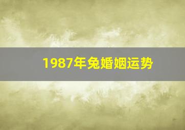 1987年兔婚姻运势,1987年的兔婚姻状况