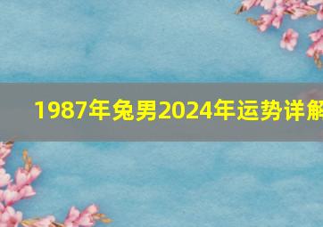 1987年兔男2024年运势详解,1987年属兔2024年运势及运程每月运程