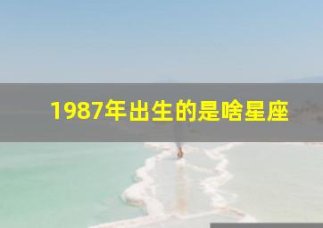 1987年出生的是啥星座,1987出生是什么星座的