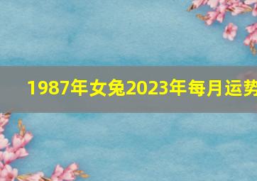 1987年女兔2023年每月运势,87兔女2023年运势及运程每月运程