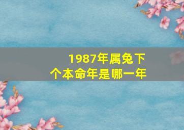 1987年属兔下个本命年是哪一年,87年的兔下半年的运气怎么样