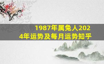 1987年属兔人2024年运势及每月运势知乎,87年兔2024年运势及运程