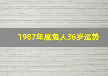 1987年属兔人36岁运势,87年属兔36岁运势走向87年生肖兔36岁后福运临门