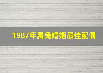 1987年属兔婚姻最佳配偶,87年属什么1987年最佳婚配属相