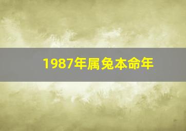 1987年属兔本命年,1987年属兔的什么命