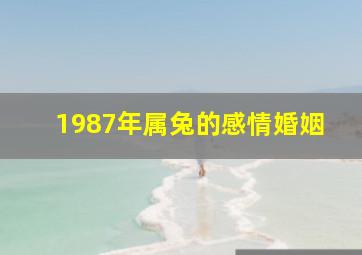 1987年属兔的感情婚姻,1987年兔一生婚姻状况87年生肖兔婚姻平和安宁