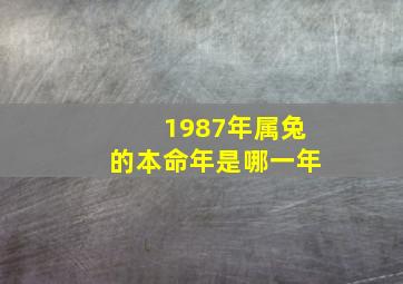 1987年属兔的本命年是哪一年