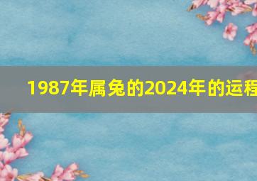 1987年属兔的2024年的运程,1987年属兔2024年运势完整版