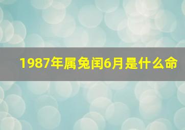 1987年属兔闰6月是什么命,1987年属兔闰6月是什么命格