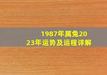 1987年属兔2023年运势及运程详解,2023年属兔男1987全年运势