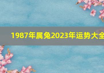 1987年属兔2023年运势大全,87年兔女2023年运势及每月的运程