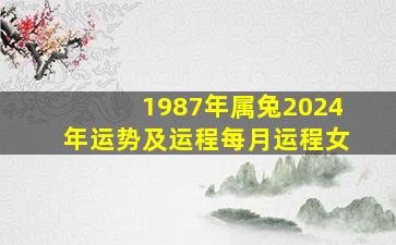 1987年属兔2024年运势及运程每月运程女,2024年属兔1987人的全年每月