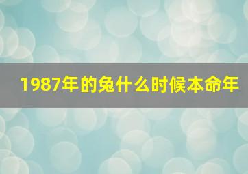 1987年的兔什么时候本命年,1987年的兔什么时候本命年结婚好