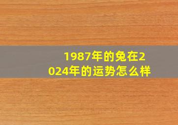 1987年的兔在2024年的运势怎么样,1987年兔36岁后贵人缠身