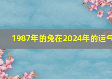 1987年的兔在2024年的运气,1987年2024年属兔人的全年运势