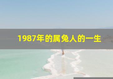 1987年的属兔人的一生,87属兔一生有几次婚姻87属兔人最旺的年龄