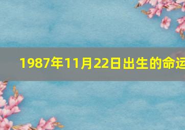 1987年11月22日出生的命运,我1987年10月初2出生