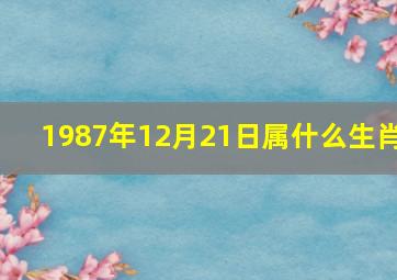 1987年12月21日属什么生肖,1988年2月8日阳历也就是农历的1987年的12月21