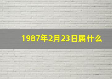 1987年2月23日属什么,1987年2月23日出生男命运