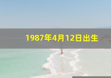 1987年4月12日出生,1987年4月12日出生的人