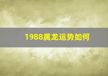 1988属龙运势如何,1988年出生属龙人2023年运势及运程