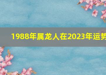 1988年属龙人在2023年运势,1988年属龙人2023年财运怎样样35岁属龙的兔年财气好吗