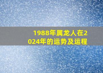 1988年属龙人在2024年的运势及运程,88年属龙在2024年怎么样