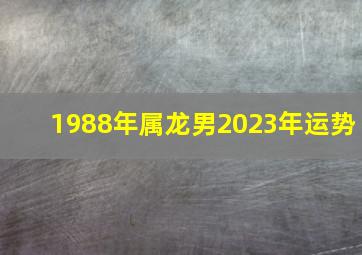 1988年属龙男2023年运势,1988年龙男2023年运势及运程