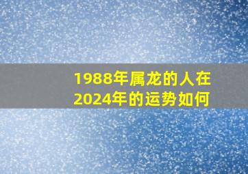 1988年属龙的人在2024年的运势如何,1988年属龙女2024年运势