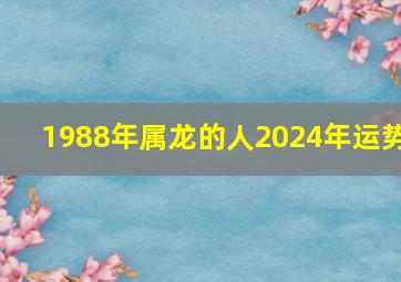 1988年属龙的人2024年运势,2024年属龙的是什么命2024年属龙的五行是什么