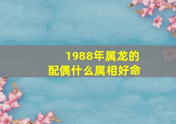 1988年属龙的配偶什么属相好命,