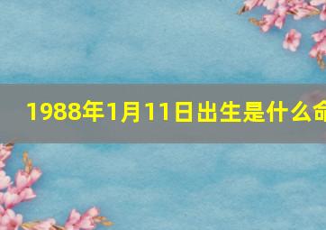 1988年1月11日出生是什么命,1988年1月11日属什么生肖