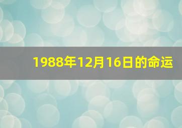 1988年12月16日的命运,阳历1988年12月16日