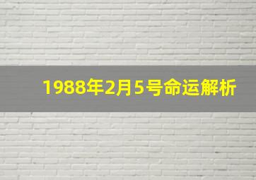 1988年2月5号命运解析,1988年2月5号出生属什么