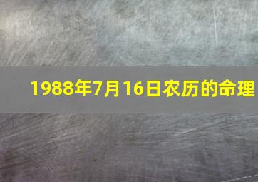 1988年7月16日农历的命理,1988年7月16日农历是什么星座