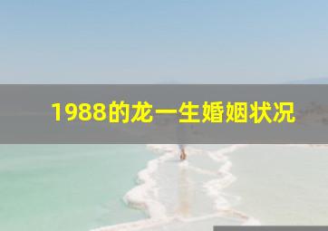 1988的龙一生婚姻状况,88属龙的一生婚姻状况一次可能有四次婚姻