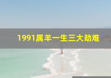 1991属羊一生三大劫难,1991属羊一生大劫年是什么时候十羊九苦哪俩月羊最苦